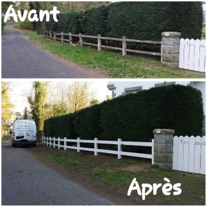 PhotoGrid_1449500681799