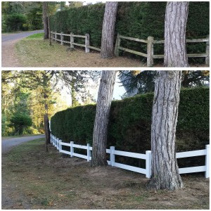 PhotoGrid_1449500756949