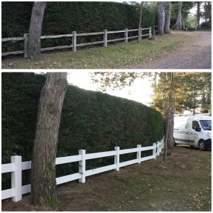 PhotoGrid_1449500996196