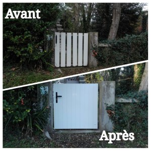 photogrid_1479461096554